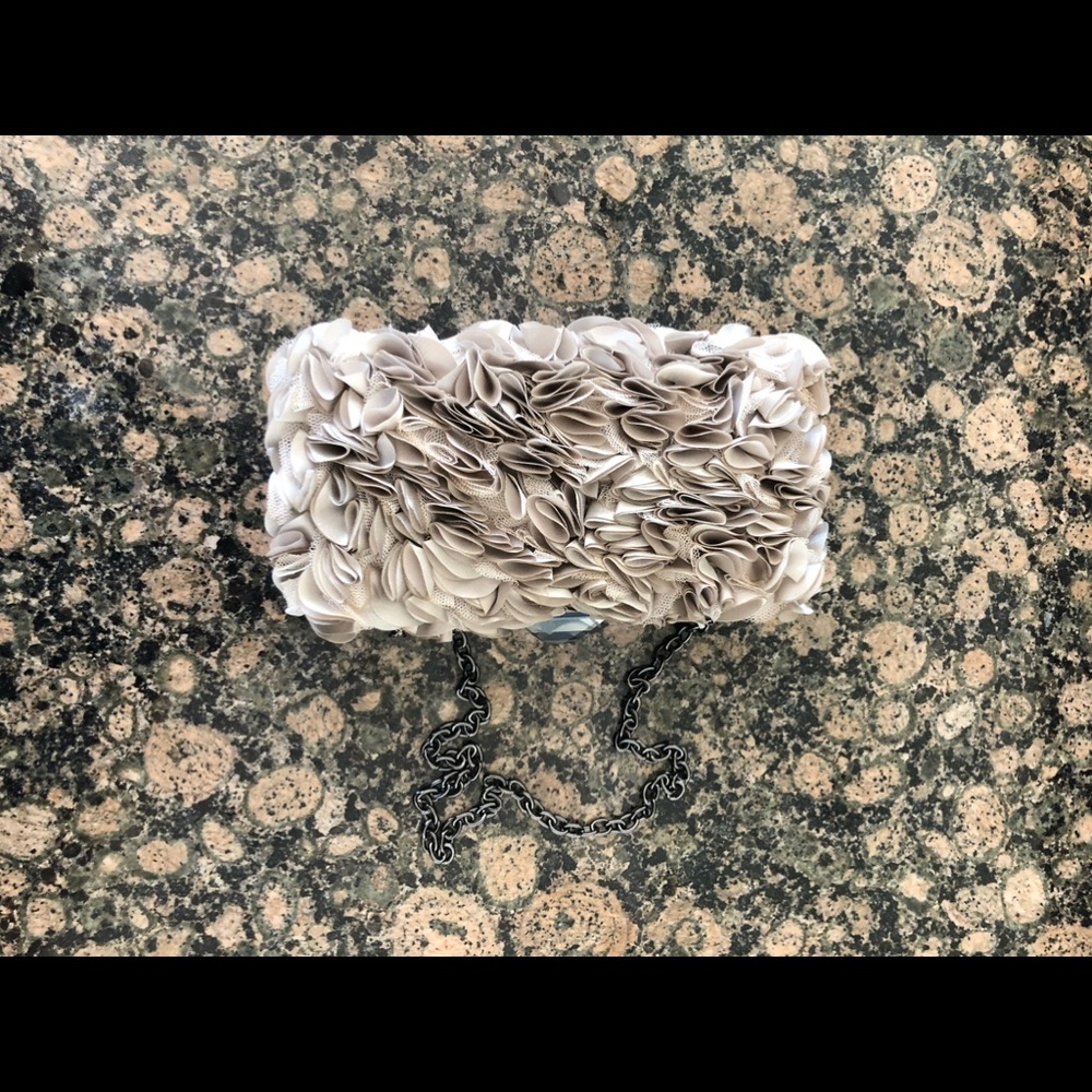 Beautiful clutch by BCBGMaxAzria